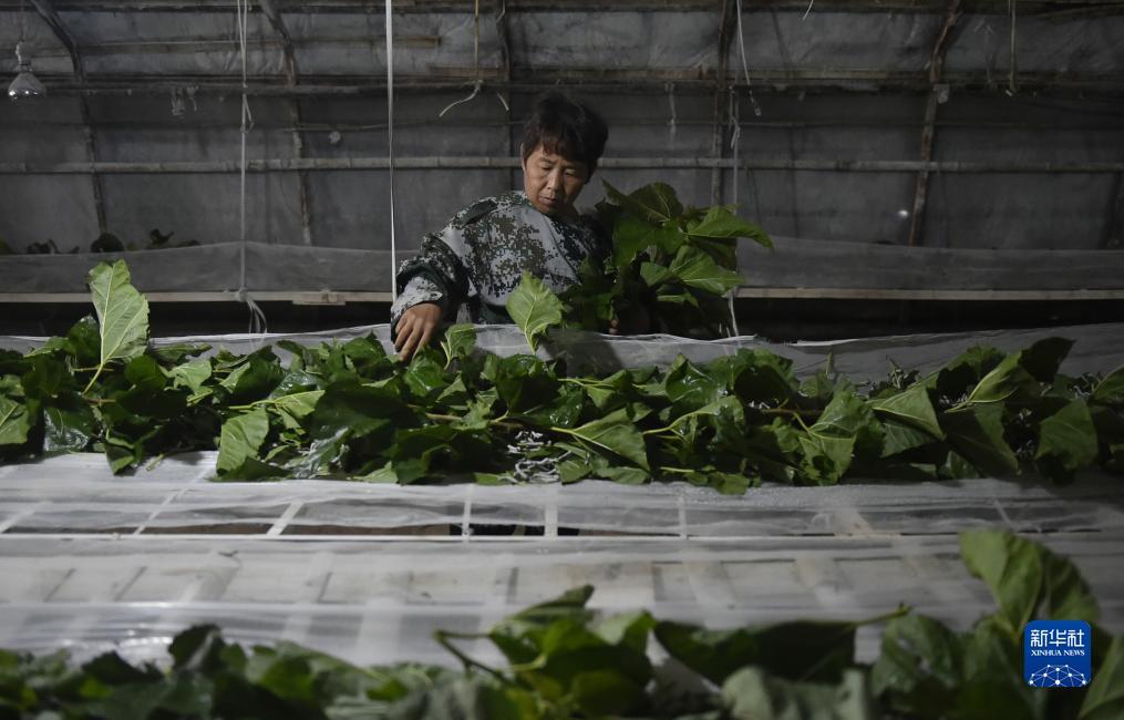 澳门在线游戏网站